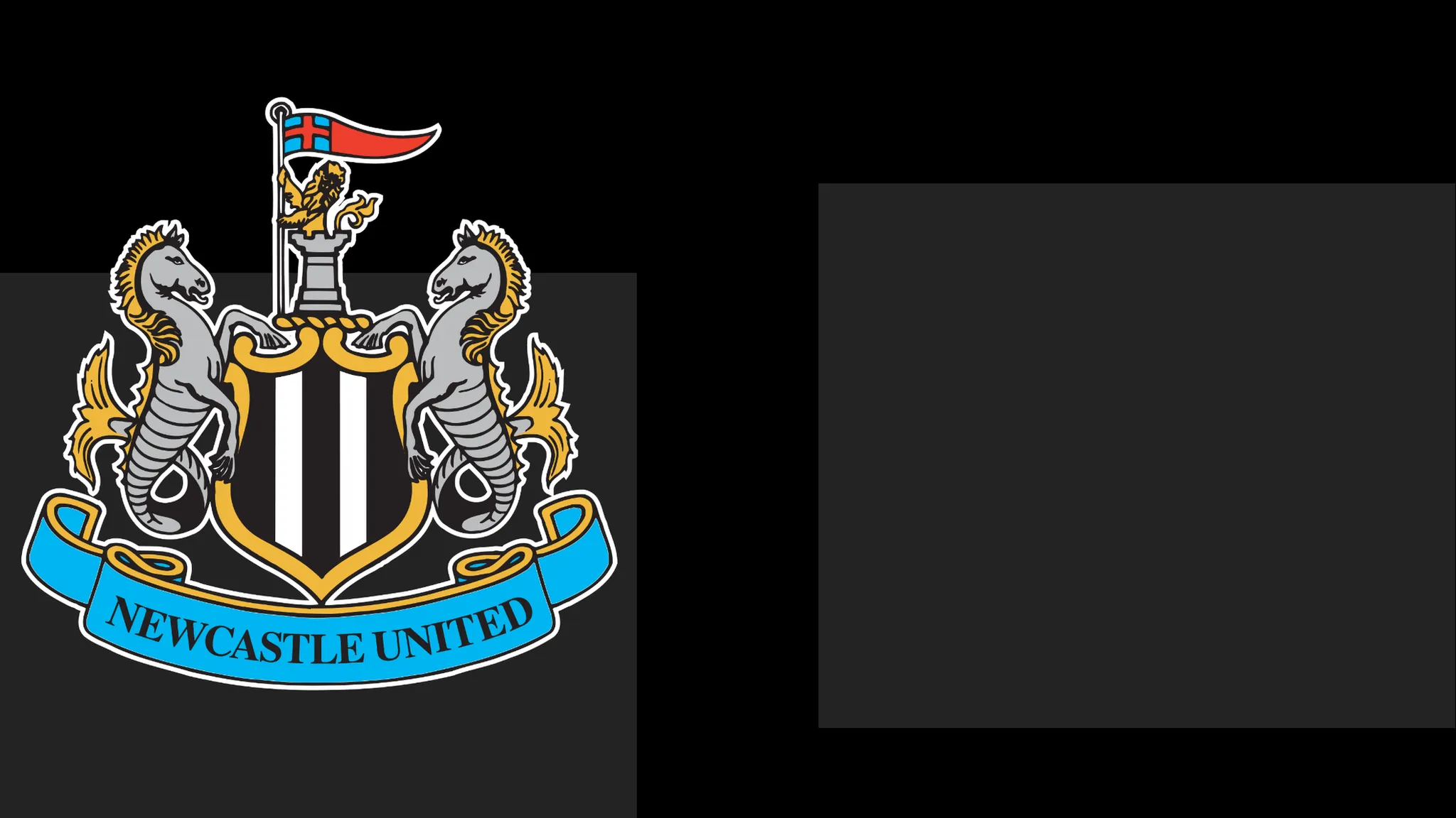 Newcastle Issue Apology to Fans Over Season Ticket Dispute