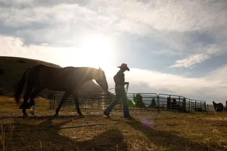Get to Know the US Cowgirls Reshaping Contemporary Ranch Life