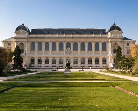 Invaluable Gold Pieces Stolen in Bold Heist at French Natural History Museum