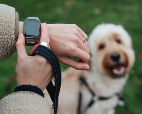 The Reality Regarding Smartwatches? Living Is Better Devoid of a Bossy Zealot on Your Arm
